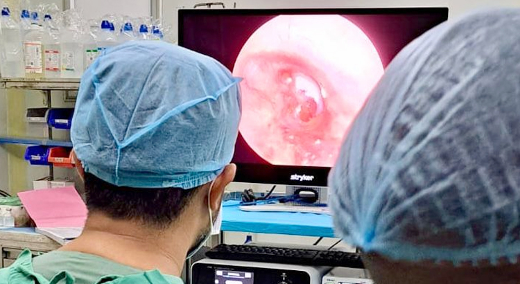 Endoscopic & Microscopic Ear Surgery